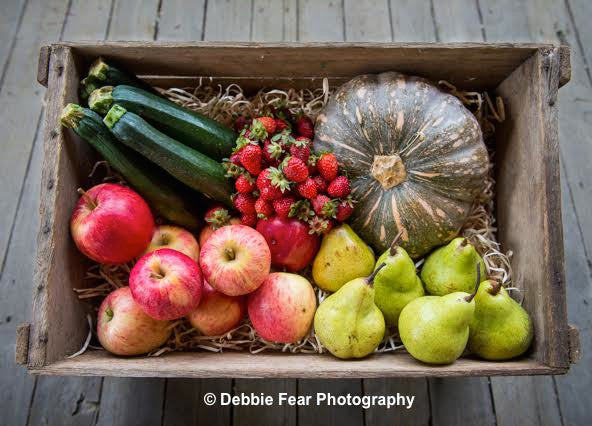 organic Seconds/Marked Fruit and Veg Box - Nourishing Mountains Coop - Blue Mountains