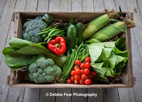 organic Veg Box - Nourishing Mountains Coop - Blue Mountains