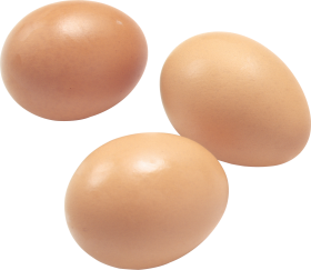 organic Organic Free Range Eggs 600g 1dozen - Nourishing Mountains Coop - Blue Mountains